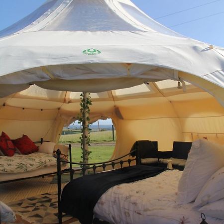 Tal-Y-Fan Farm 6M Stargazer Tent Bridgend (Wales) Exterior foto